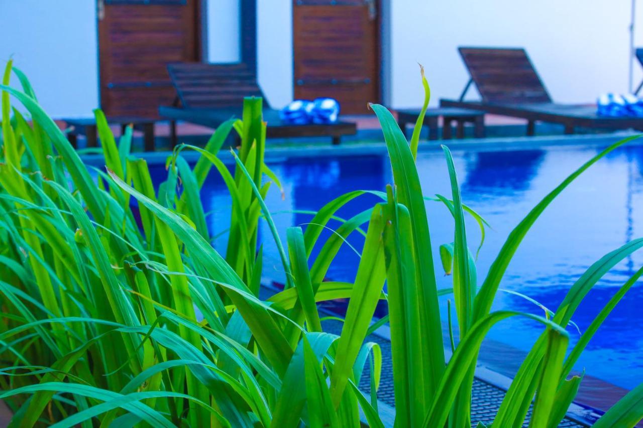 Ali Weta Safari Resort Udawalawe Εξωτερικό φωτογραφία